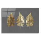 Fern Leaves by Svetlana Aleynikova acrylic glass wall art
