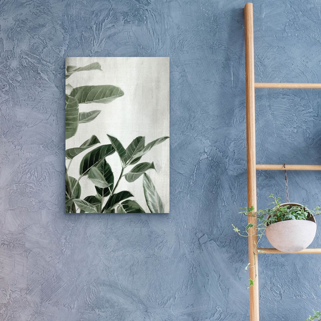 Ficus by Svetlana Aleynikova - 16x24 acrylic wall art in a room