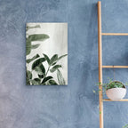 Ficus by Svetlana Aleynikova - 16x24 acrylic wall art in a room