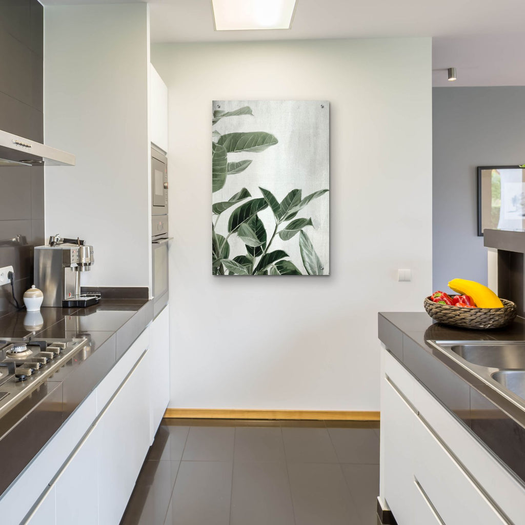Ficus by Svetlana Aleynikova - 24x36 acrylic wall art in a room