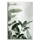 Ficus by Svetlana Aleynikova acrylic glass wall art