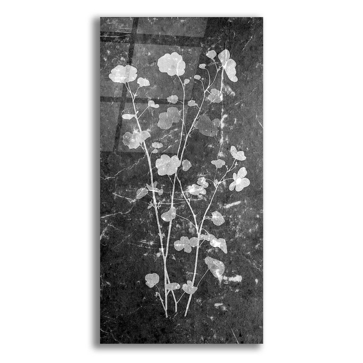 Floral Inversion by Svetlana Aleynikova acrylic glass wall art