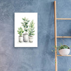 Potted Blooms by Svetlana Aleynikova - 16x24 acrylic wall art in a room