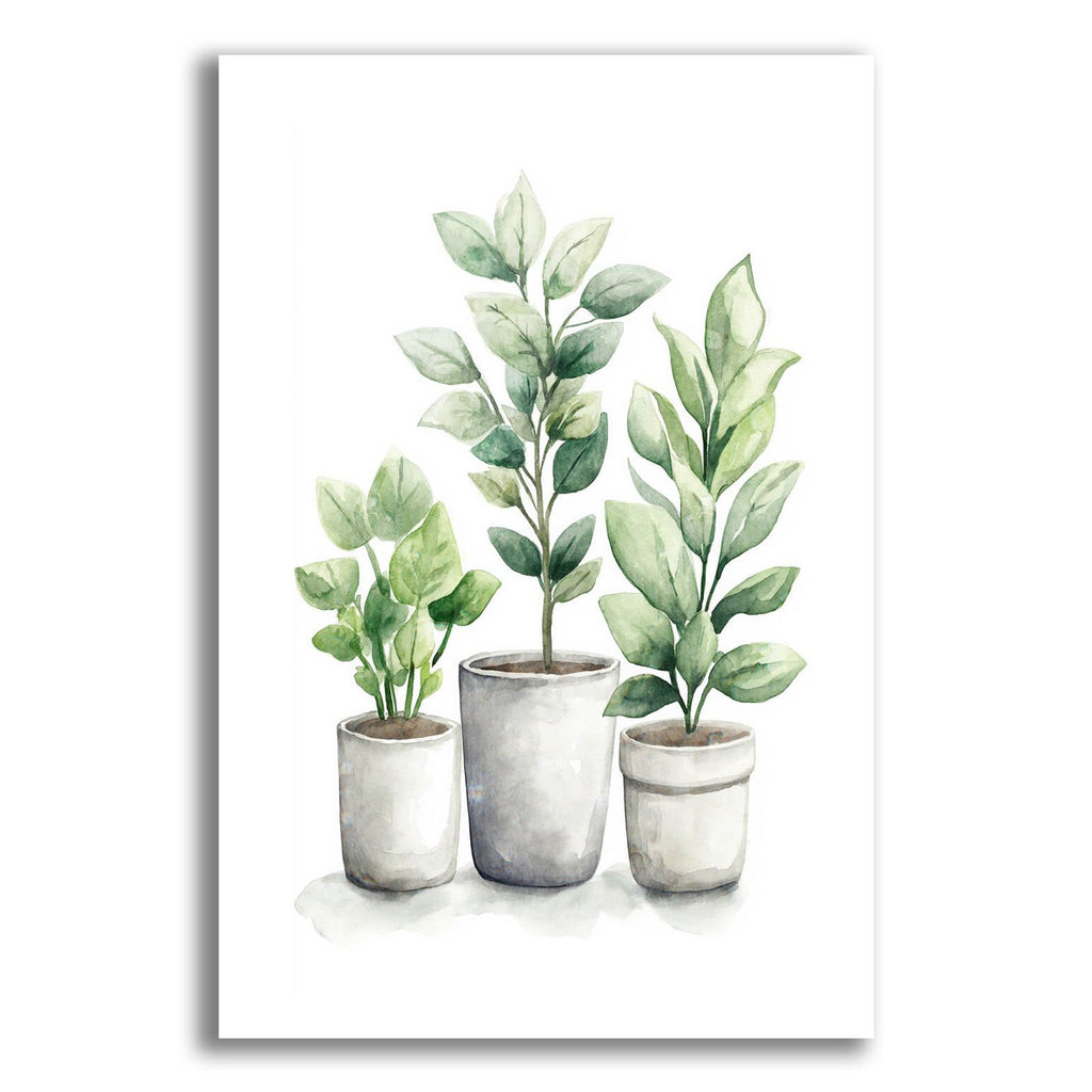 Potted Blooms by Svetlana Aleynikova acrylic glass wall art