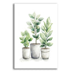 Potted Blooms by Svetlana Aleynikova acrylic glass wall art