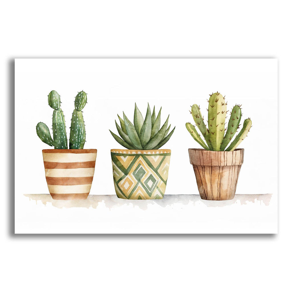 Potted Cacti by Svetlana Aleynikova acrylic glass wall art
