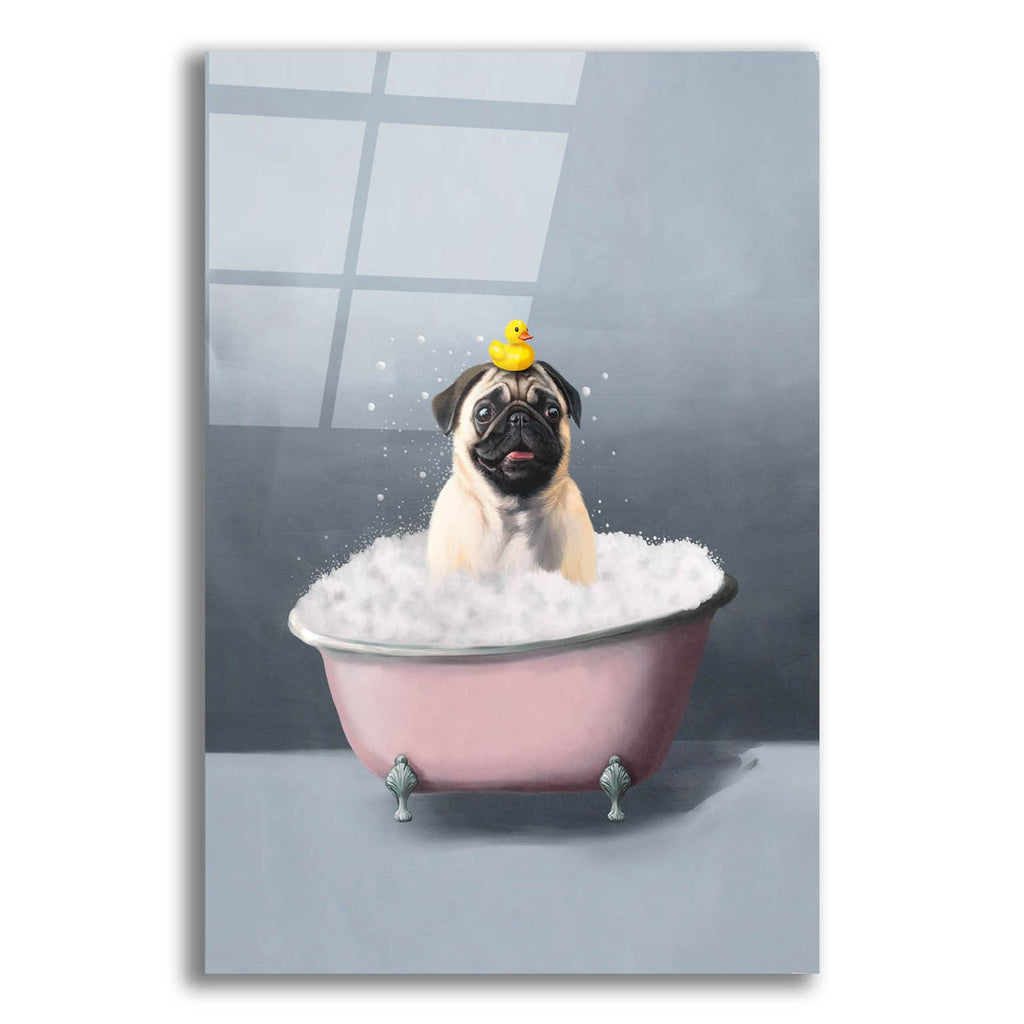 Pug In The Bath by Svetlana Aleynikova acrylic glass wall art
