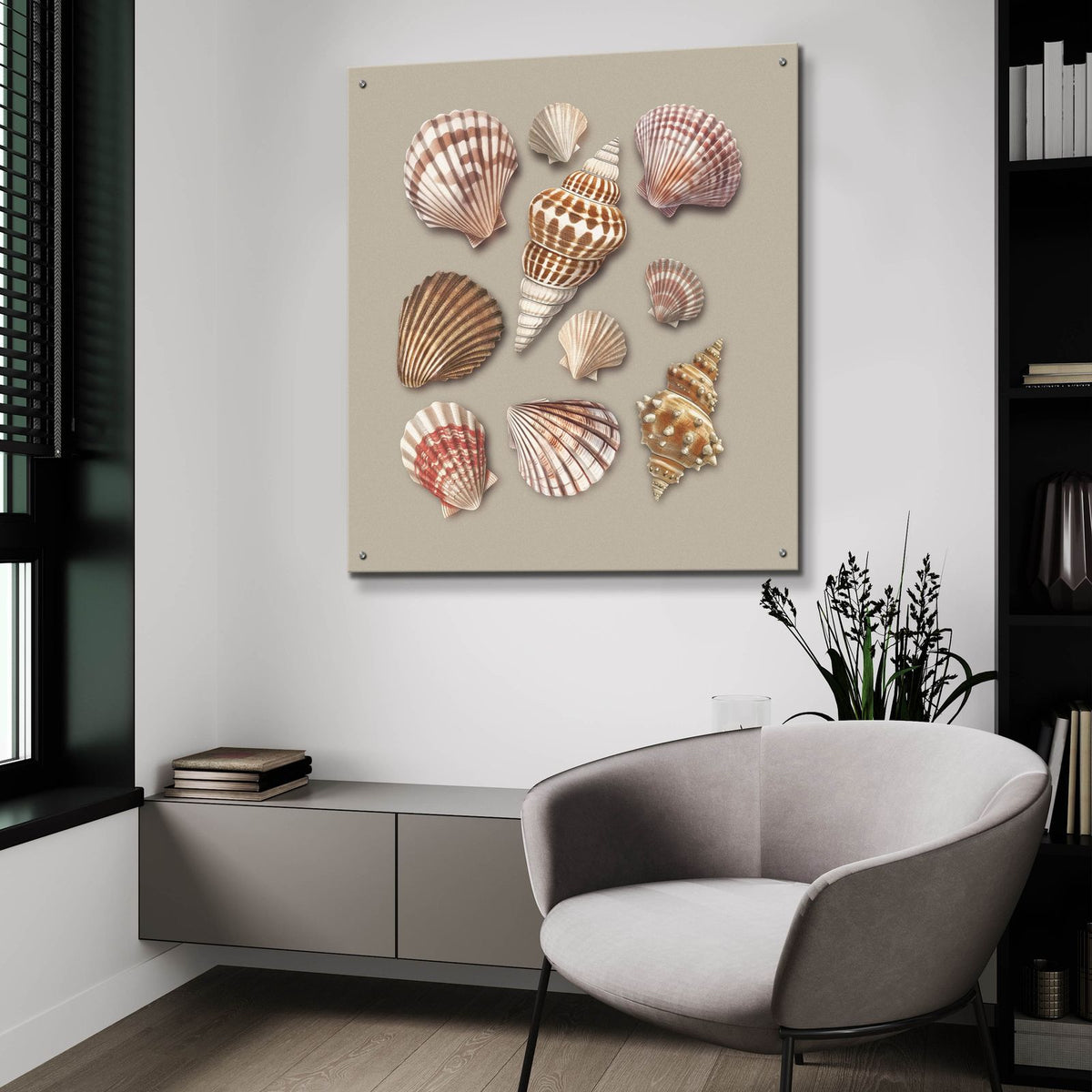 Sea Shells by Svetlana Aleynikova - 36x36 acrylic wall art in a room