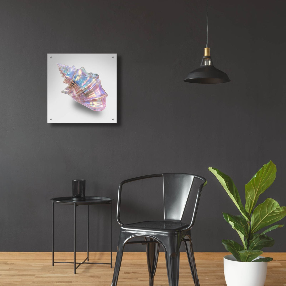 Shell On Pink by Svetlana Aleynikova - 24x24 acrylic wall art in a room