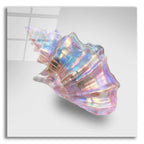 Shell On Pink by Svetlana Aleynikova acrylic glass wall art