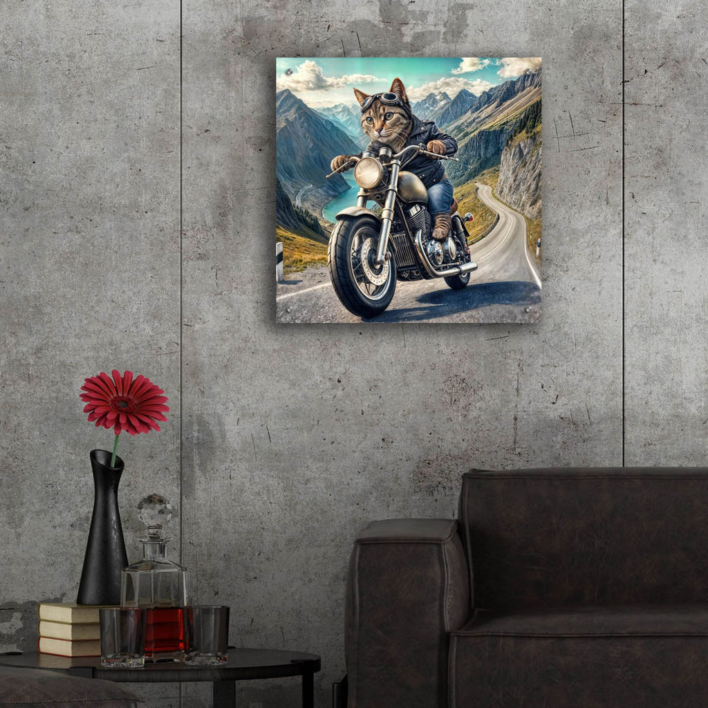 Biker Cat by Rey Klimt - 24x24 acrylic wall art in a room