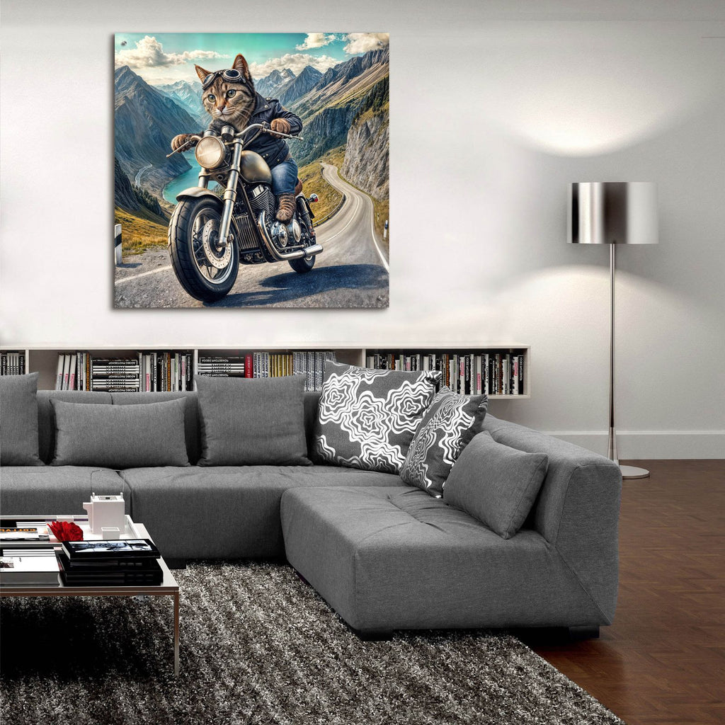 Biker Cat by Rey Klimt - 36x36 acrylic wall art in a room
