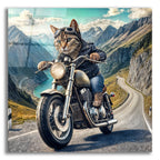 Biker Cat by Rey Klimt acrylic glass wall art