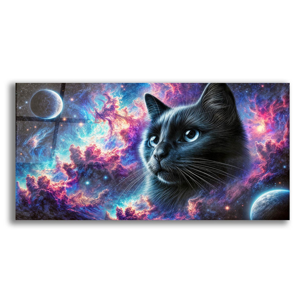 Cat Universe by Rey Klimt acrylic glass wall art