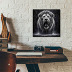 Lion In Rain Drops by Rey Klimt - 12x12 acrylic wall art in a room