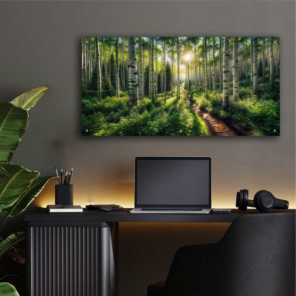 Path In Aspen Forest by Rey Klimt - 48x24 acrylic wall art in a room