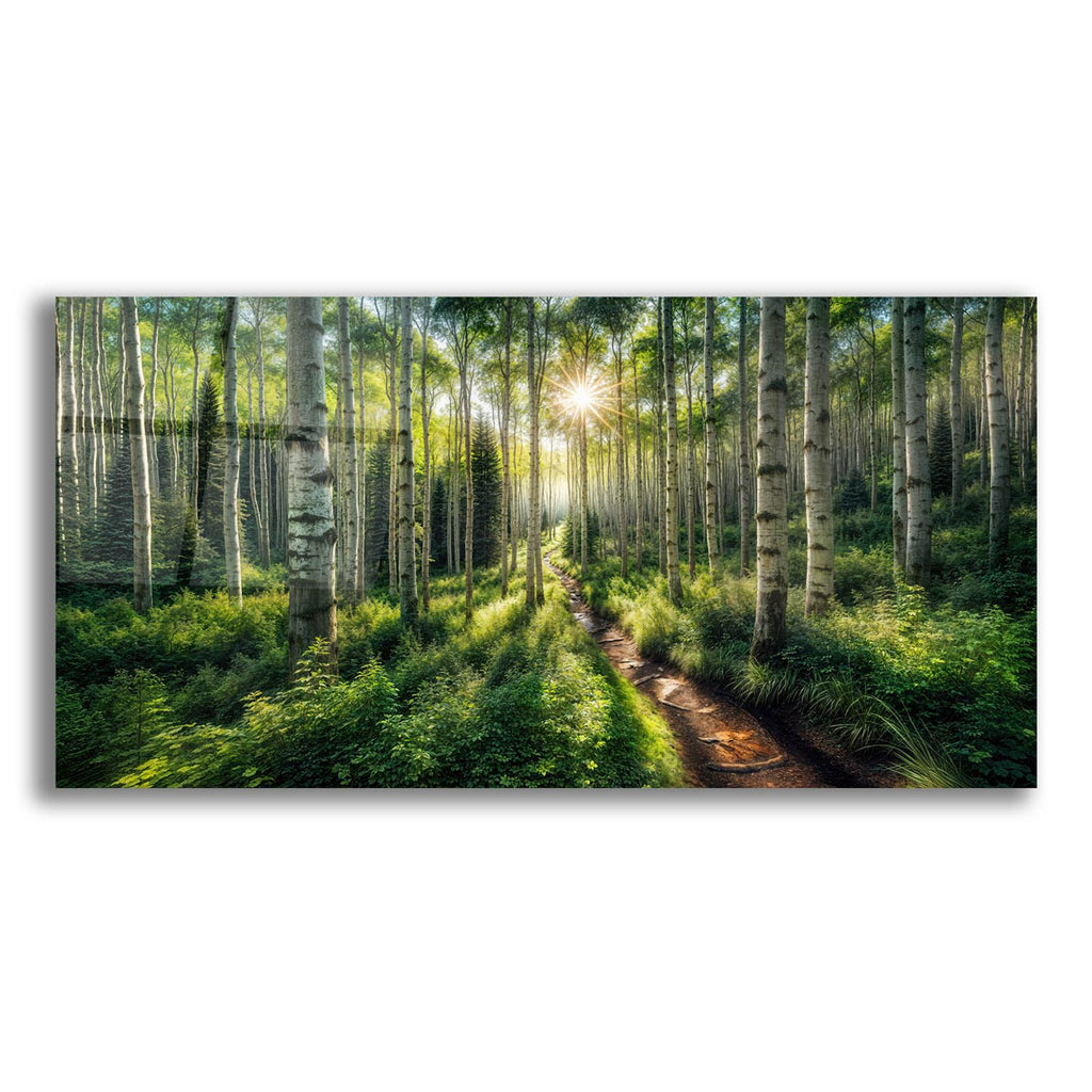 Path In Aspen Forest by Rey Klimt acrylic glass wall art
