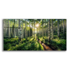 Path In Aspen Forest by Rey Klimt acrylic glass wall art