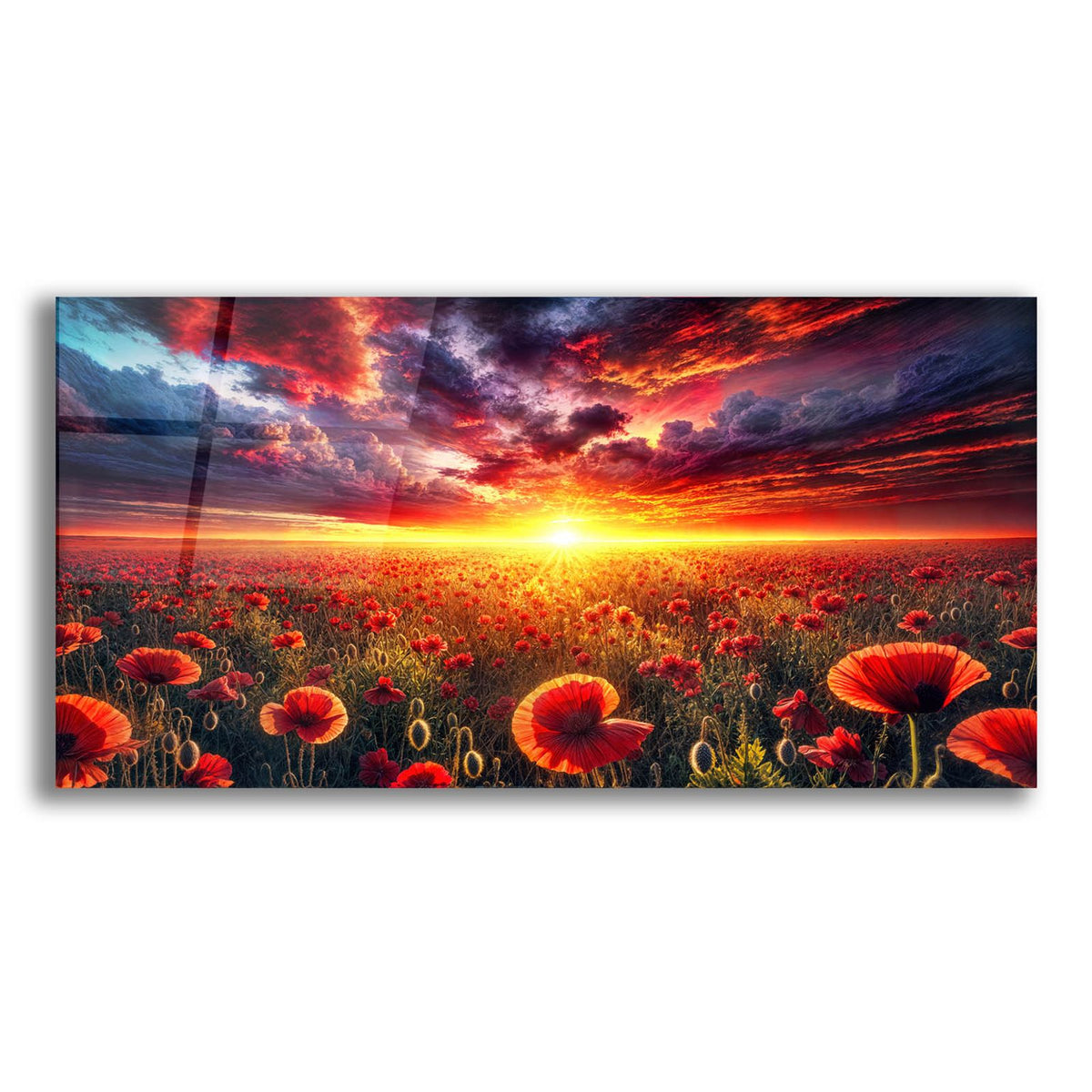 Poppy Field Sunrise by Rey Klimt acrylic glass wall art