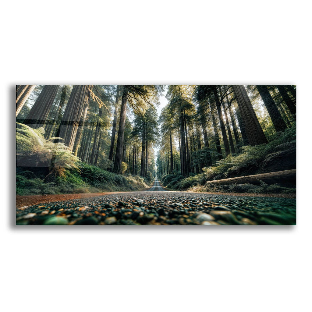 Road Ahead 3 by Rey Klimt acrylic glass wall art