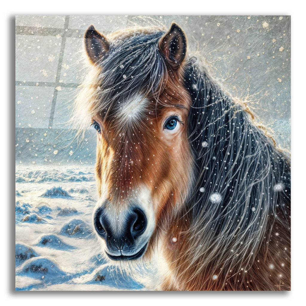 Snowy Horse Portrait by Rey Klimt acrylic glass wall art