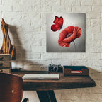 Red Butterfly And Blooming Red Poppy Flower by Rey Klimt - 12x12 acrylic wall art in a room