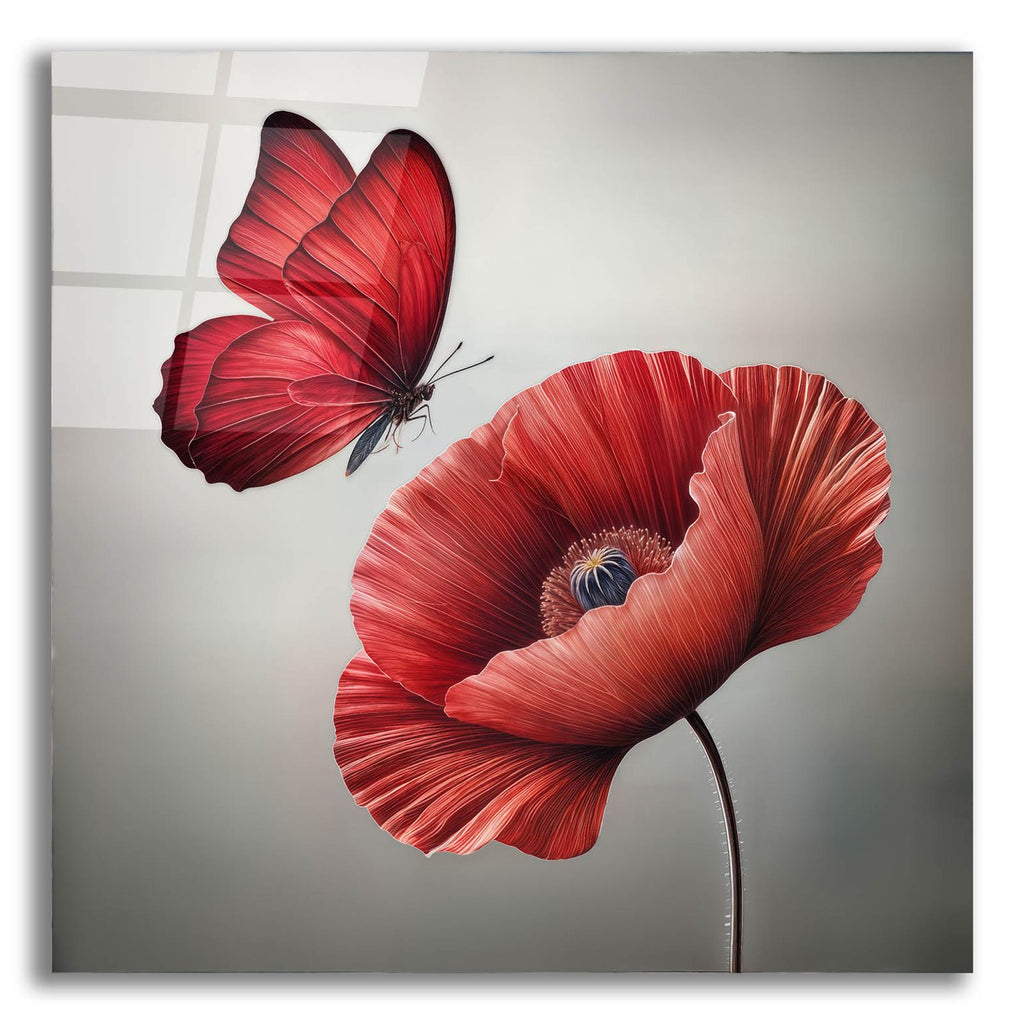 Red Butterfly And Blooming Red Poppy Flower by Rey Klimt acrylic glass wall art