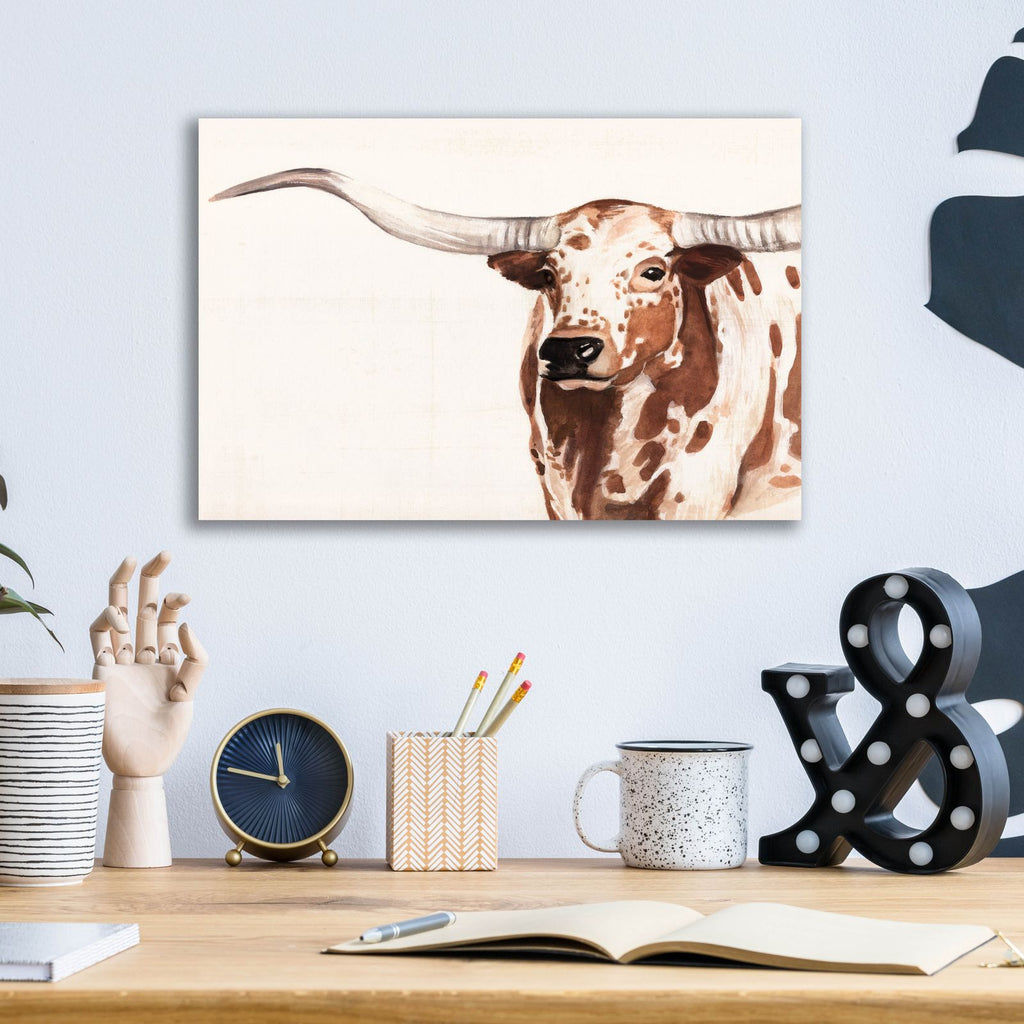 Spotted Steer 2 by Annie Warren - 16x12 acrylic wall art in a room