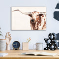 Spotted Steer 2 by Annie Warren - 16x12 acrylic wall art in a room