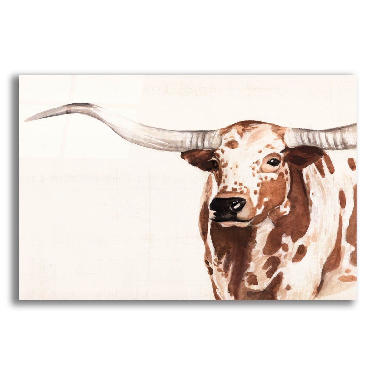 Spotted Steer 2 by Annie Warren acrylic glass wall art