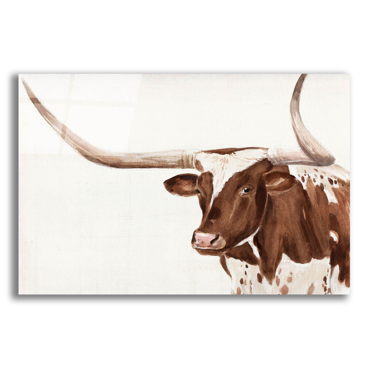 Spotted Steer 3 by Annie Warren acrylic glass wall art