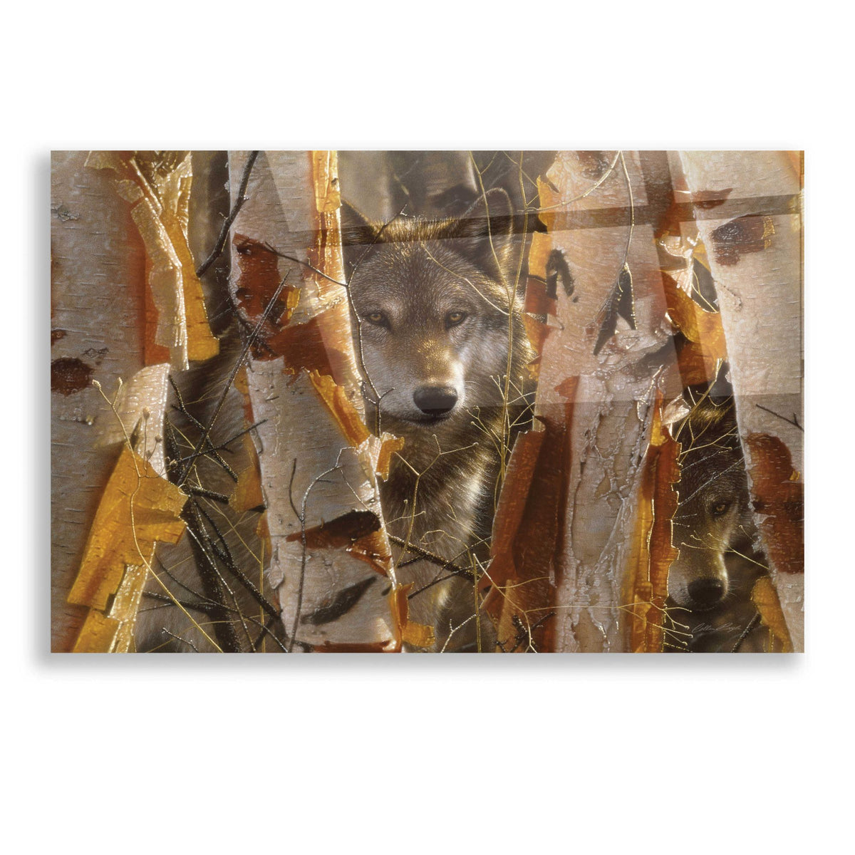 Epic Art 'The Guardian' by Collin Bogle Acrylic Glass Wall Art