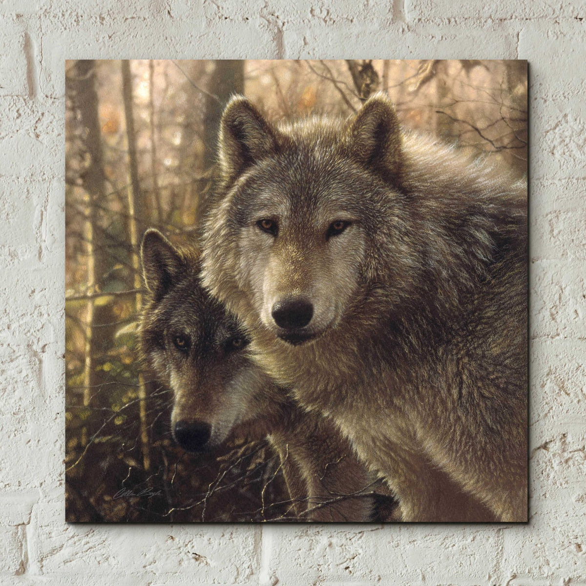 Epic Art 'Wood Land Companions' by Collin Bogle Acrylic Glass Wall Art,12x12