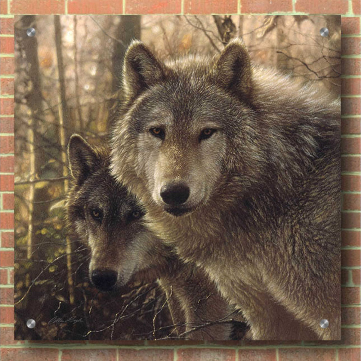 Epic Art 'Wood Land Companions' by Collin Bogle Acrylic Glass Wall Art,36x36
