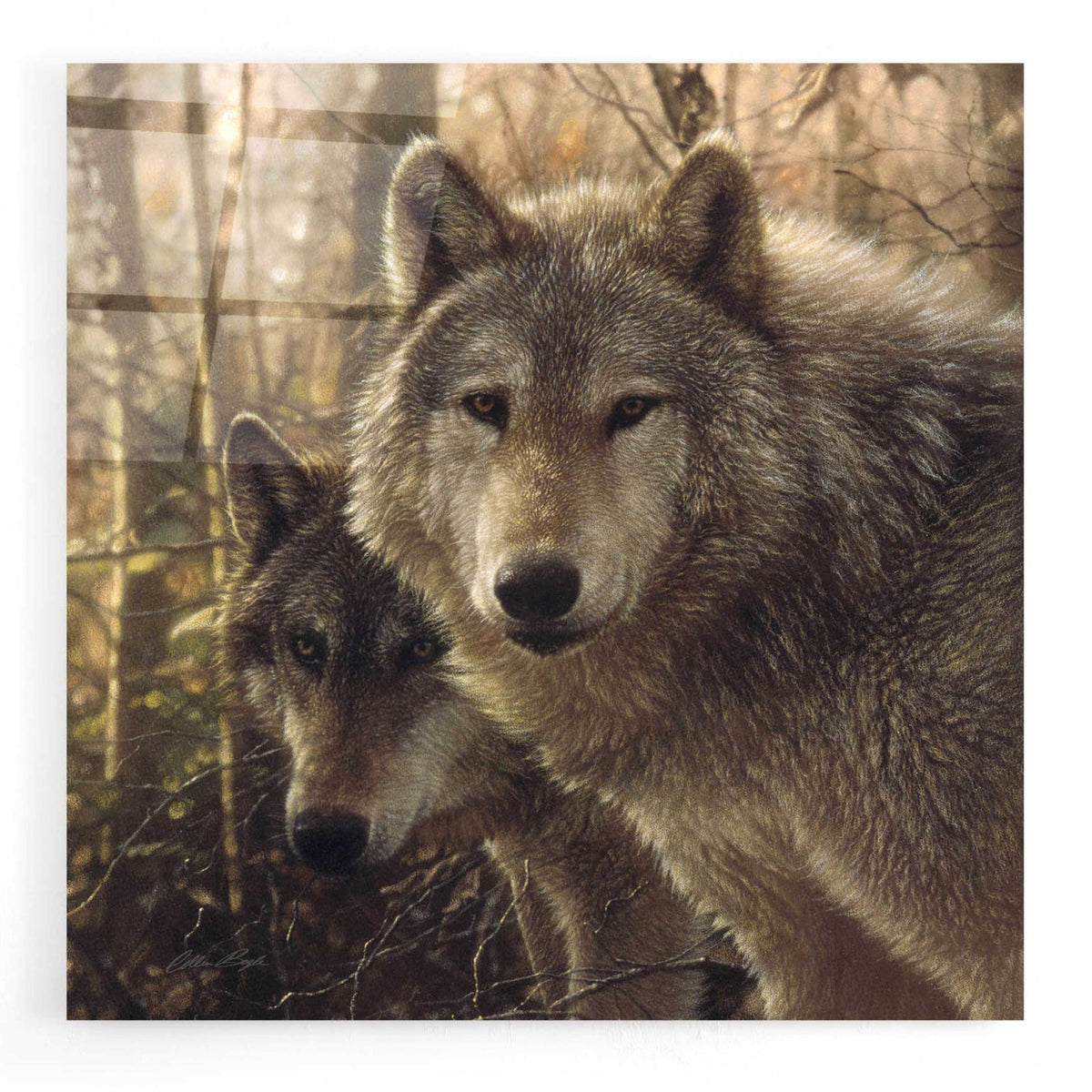 Epic Art 'Wood Land Companions' by Collin Bogle Acrylic Glass Wall Art