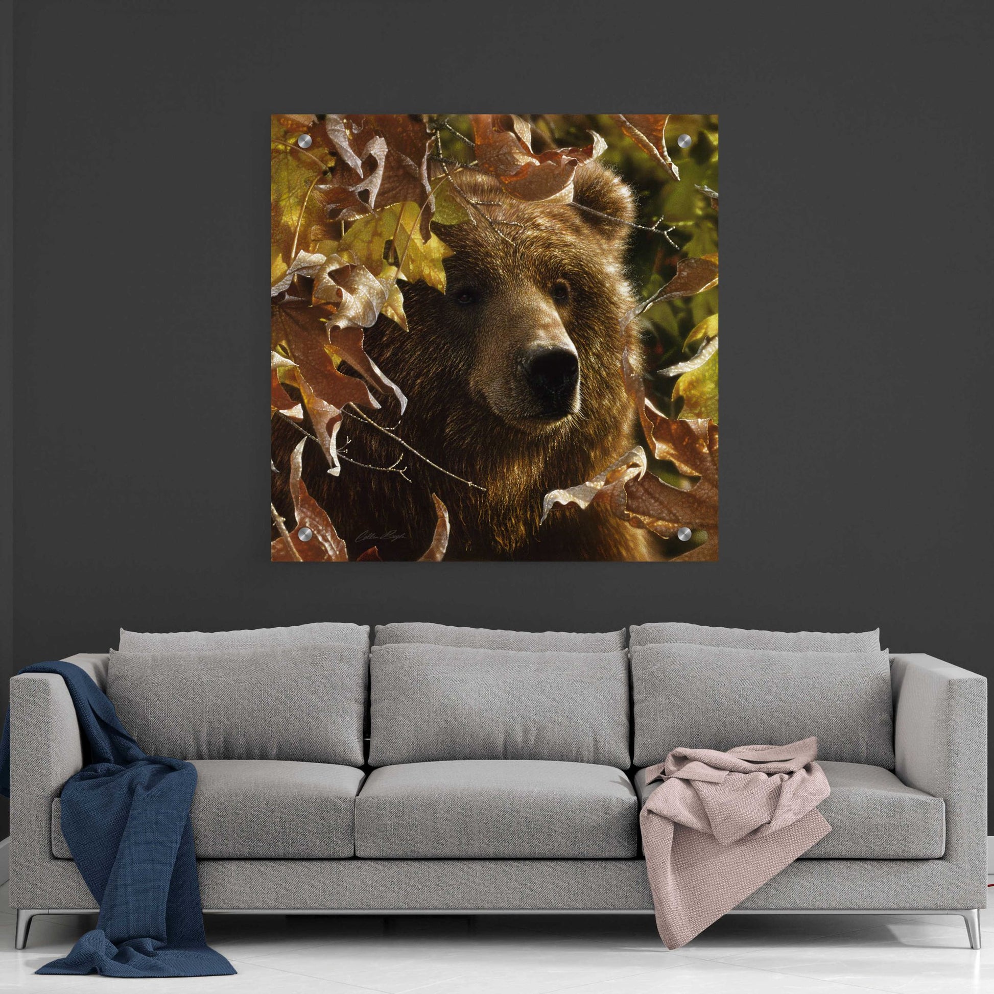 Epic Art 'Legend Of The Fall' by Collin Bogle Acrylic Glass Wall Art,36x36