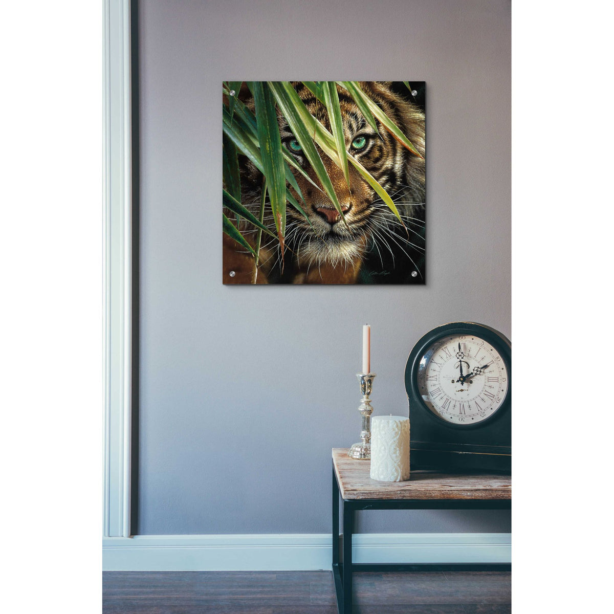 Epic Art 'Tiger Eyes' by Collin Bogle Acrylic Glass Wall Art,24x24