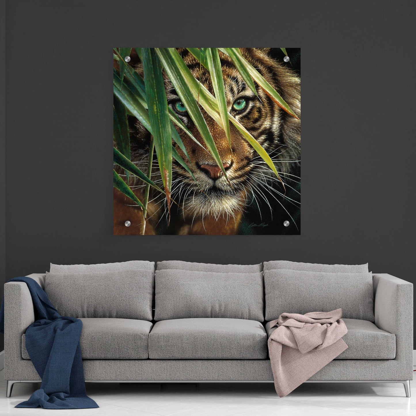 Epic Art 'Tiger Eyes' by Collin Bogle Acrylic Glass Wall Art,36x36