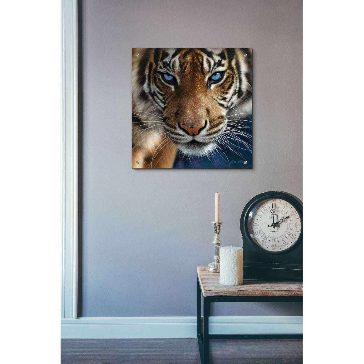 Epic Art 'Blue Eyes' by Collin Bogle Acrylic Glass Wall Art,24x24