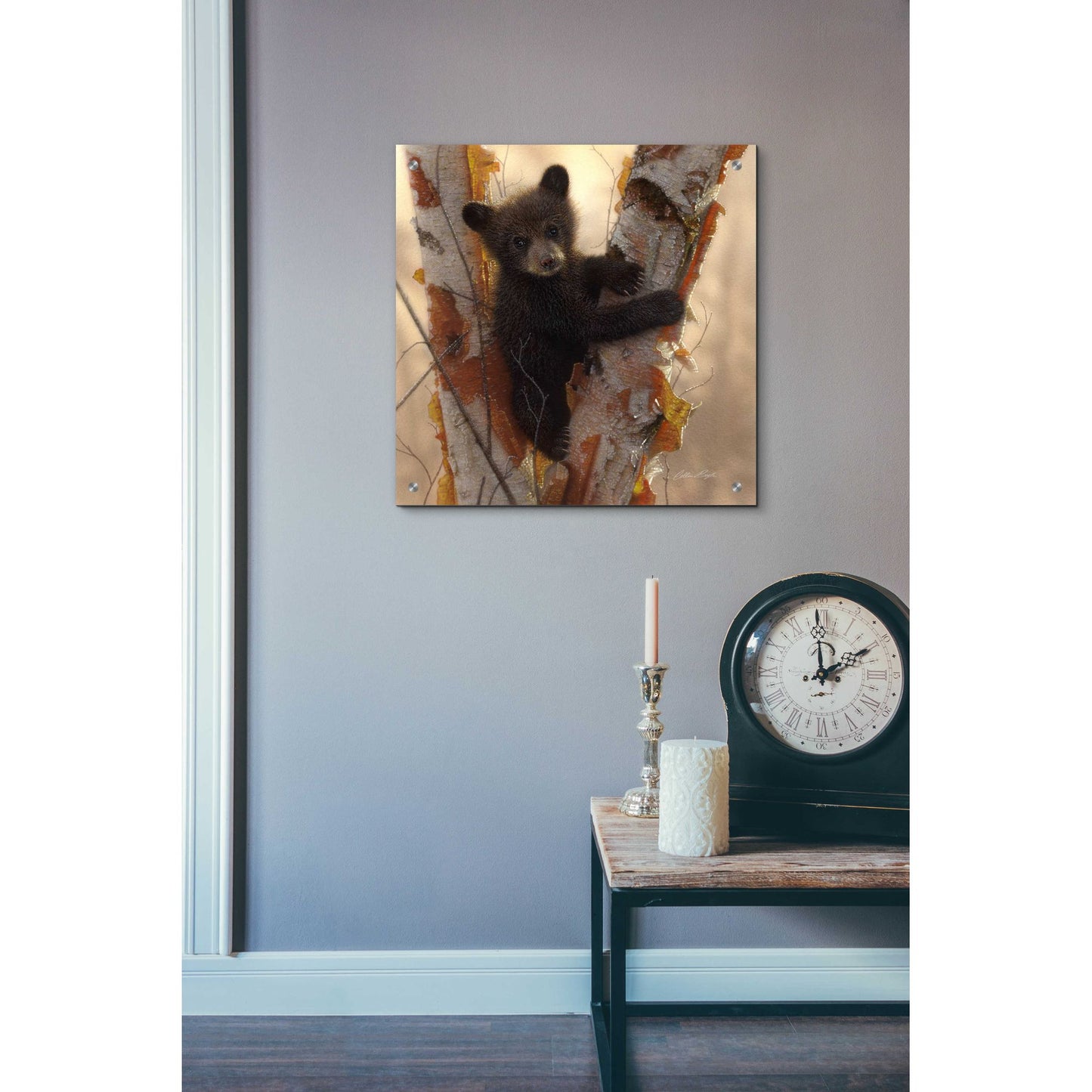 Epic Art 'Curious Cub I' by Collin Bogle Acrylic Glass Wall Art,24x24