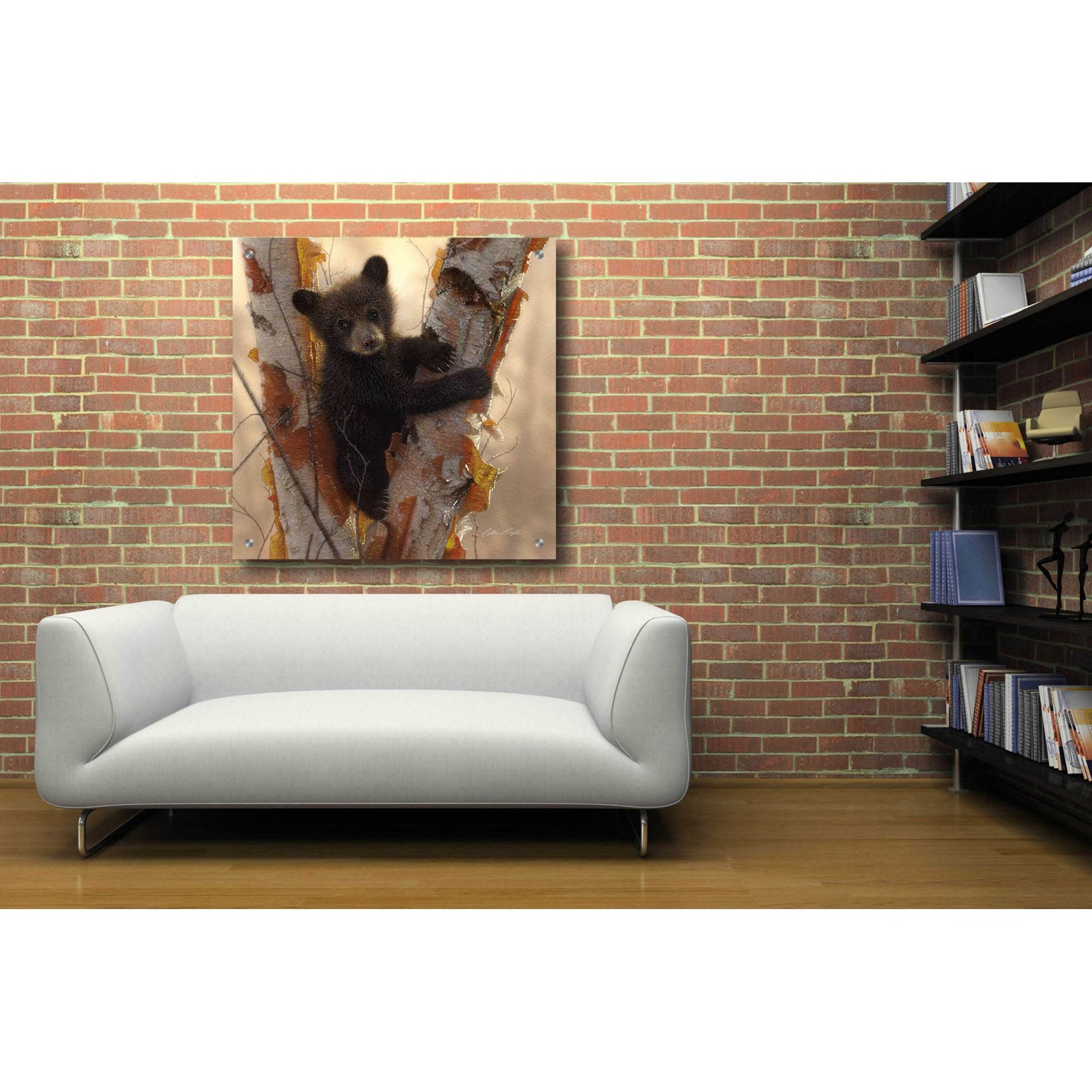 Epic Art 'Curious Cub I' by Collin Bogle Acrylic Glass Wall Art,36x36