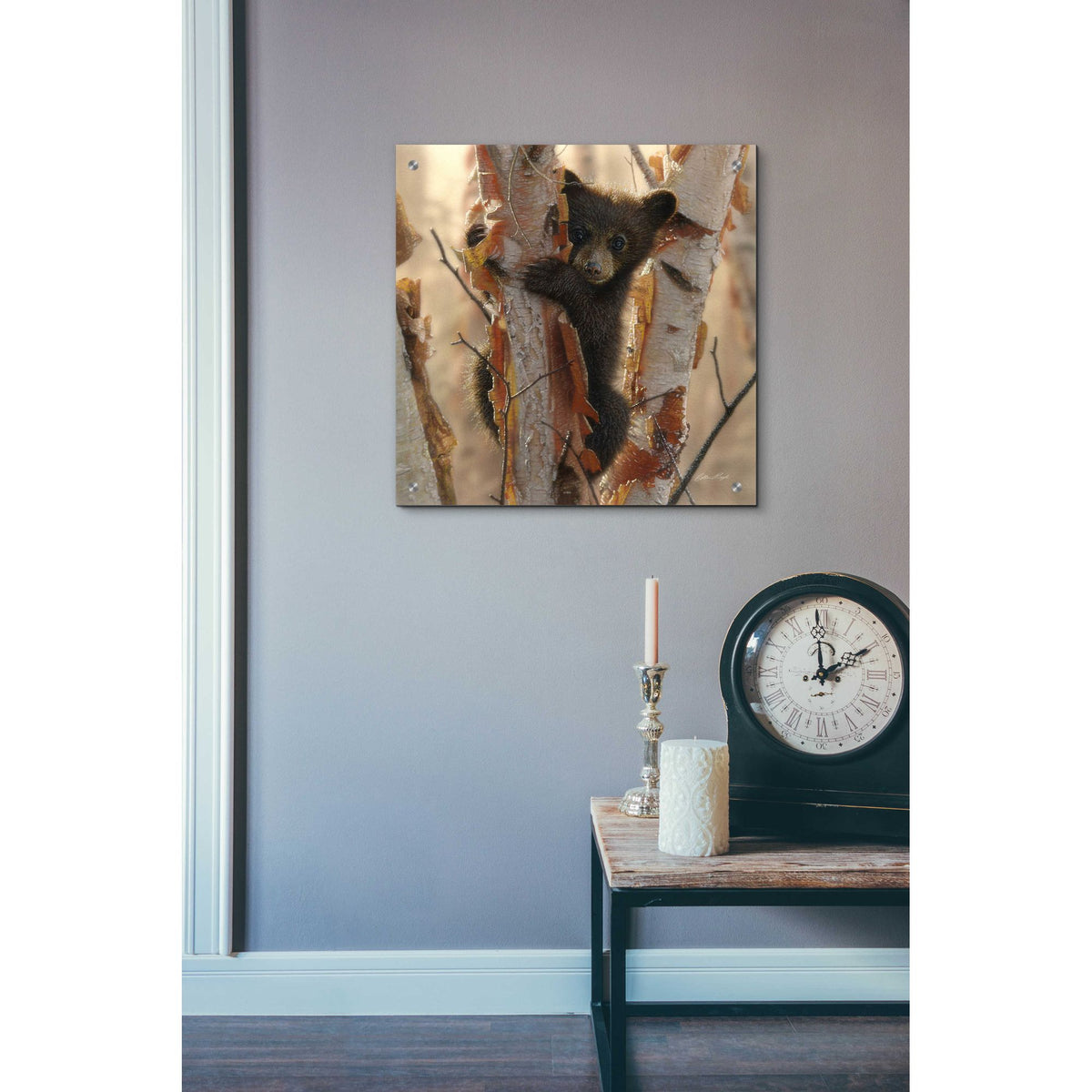 Epic Art 'Curious Cub II' by Collin Bogle Acrylic Glass Wall Art,24x24