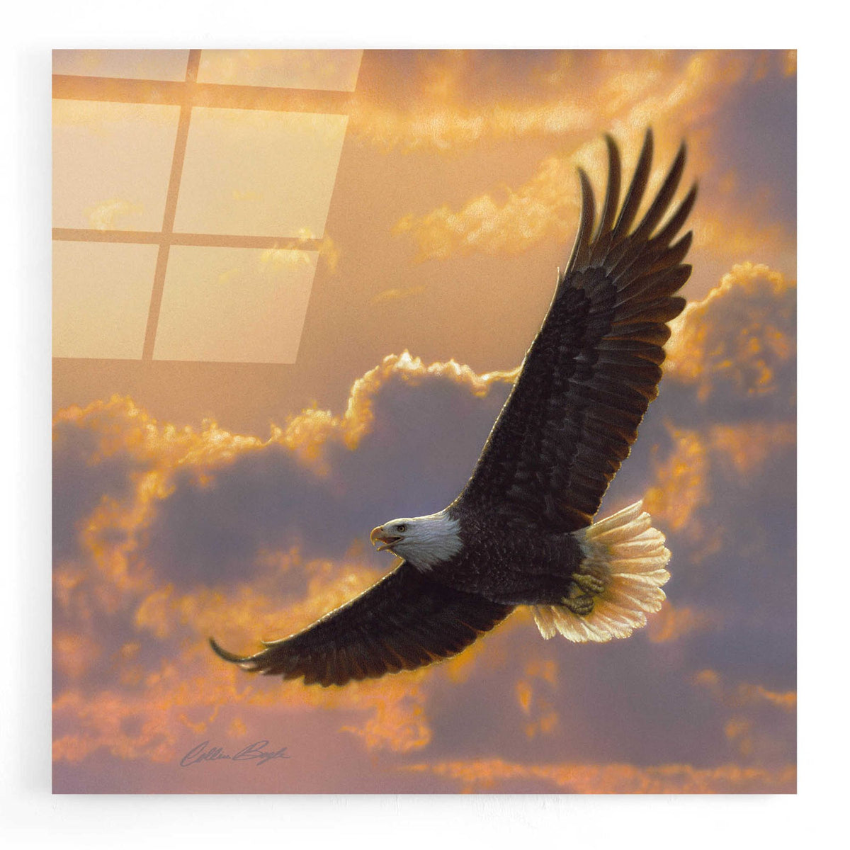 Epic Art 'Soaring Spirit' by Collin Bogle Acrylic Glass Wall Art