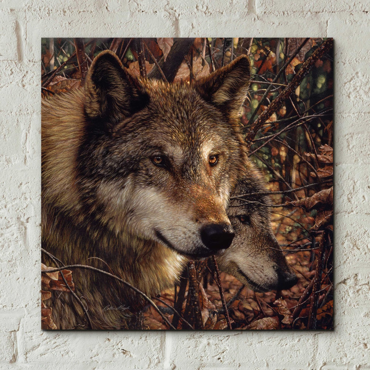 Epic Art 'Colors Of Autumn' by Collin Bogle Acrylic Glass Wall Art,12x12