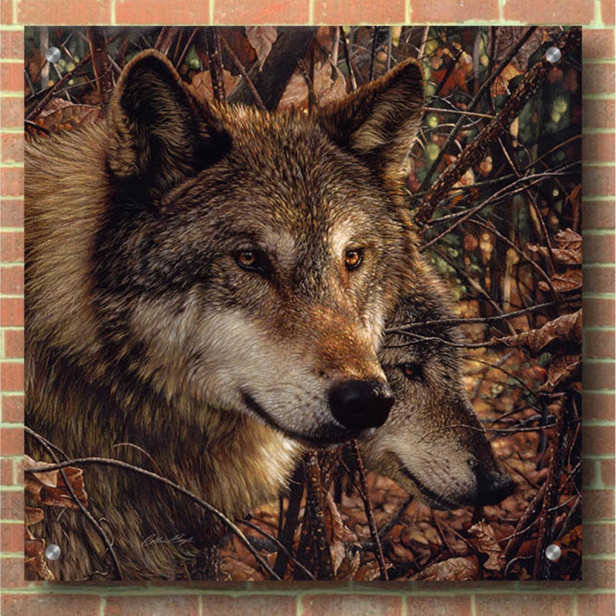 Epic Art 'Colors Of Autumn' by Collin Bogle Acrylic Glass Wall Art,36x36