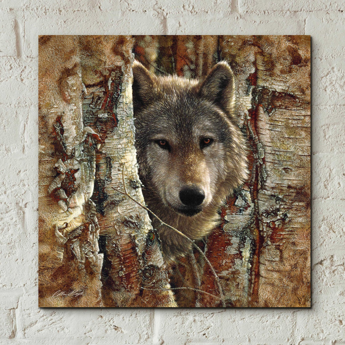 Epic Art 'Wolf Spirit' by Collin Bogle Acrylic Glass Wall Art,12x12