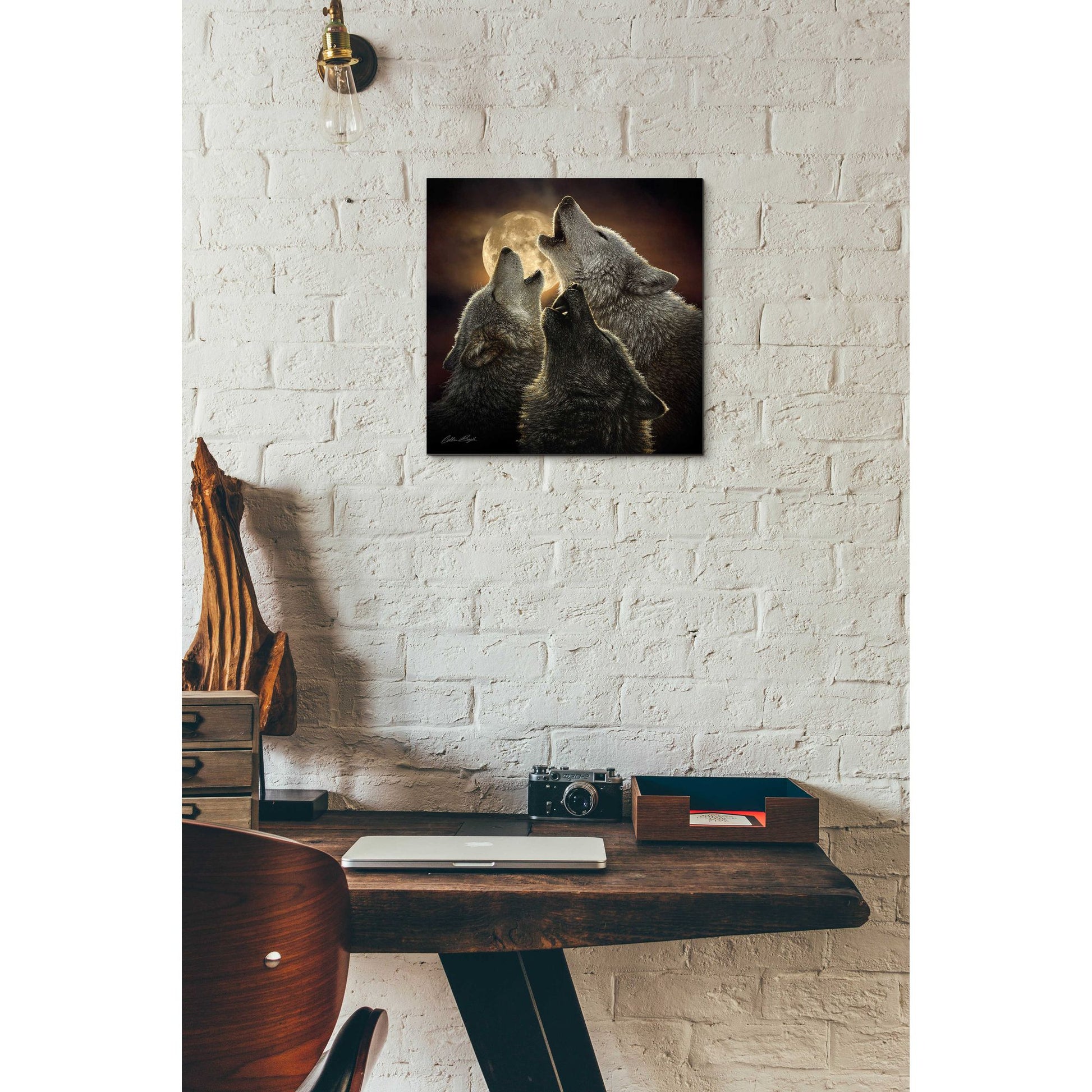 Epic Art 'Wolf Trinity' by Collin Bogle Acrylic Glass Wall Art,12x12