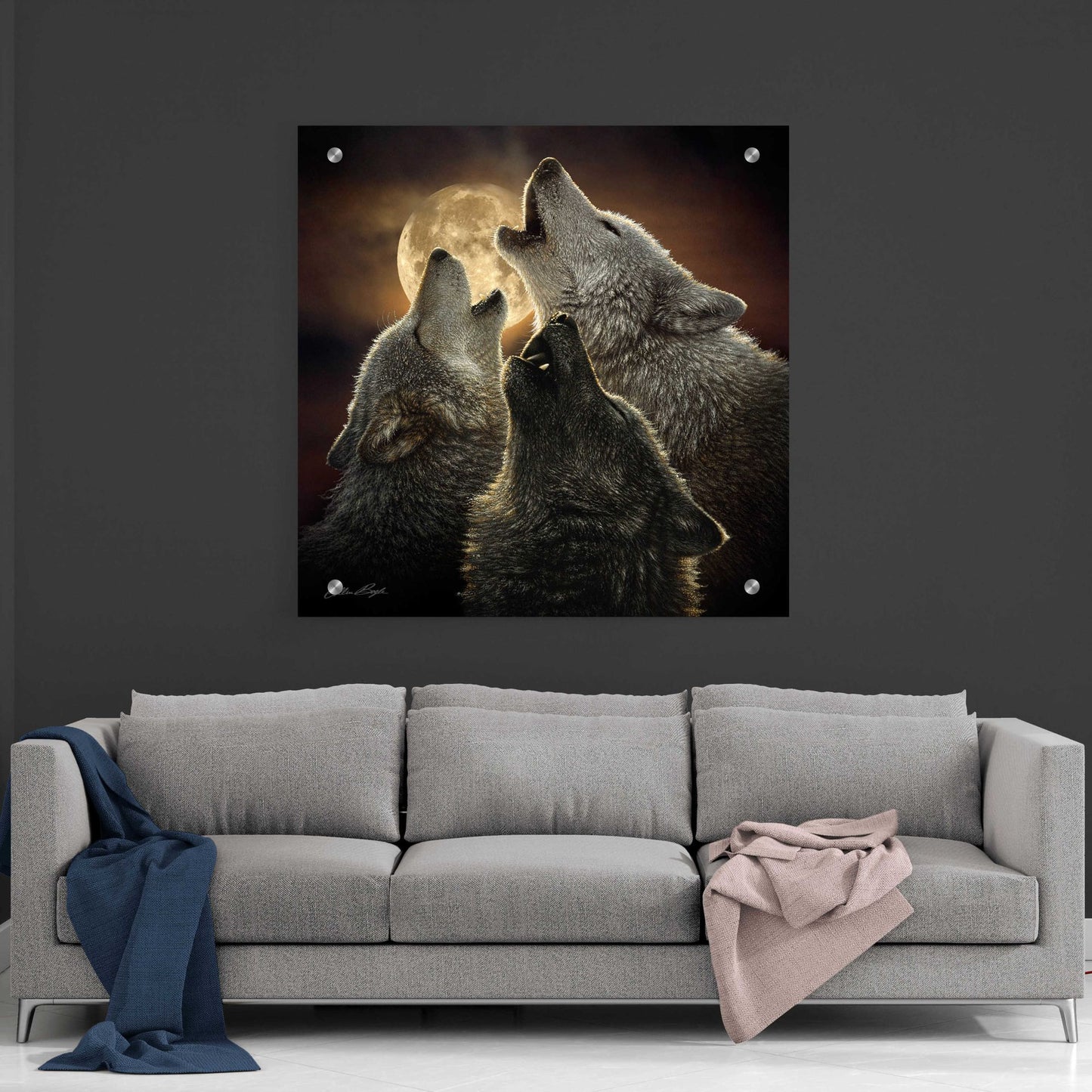 Epic Art 'Wolf Trinity' by Collin Bogle Acrylic Glass Wall Art,36x36