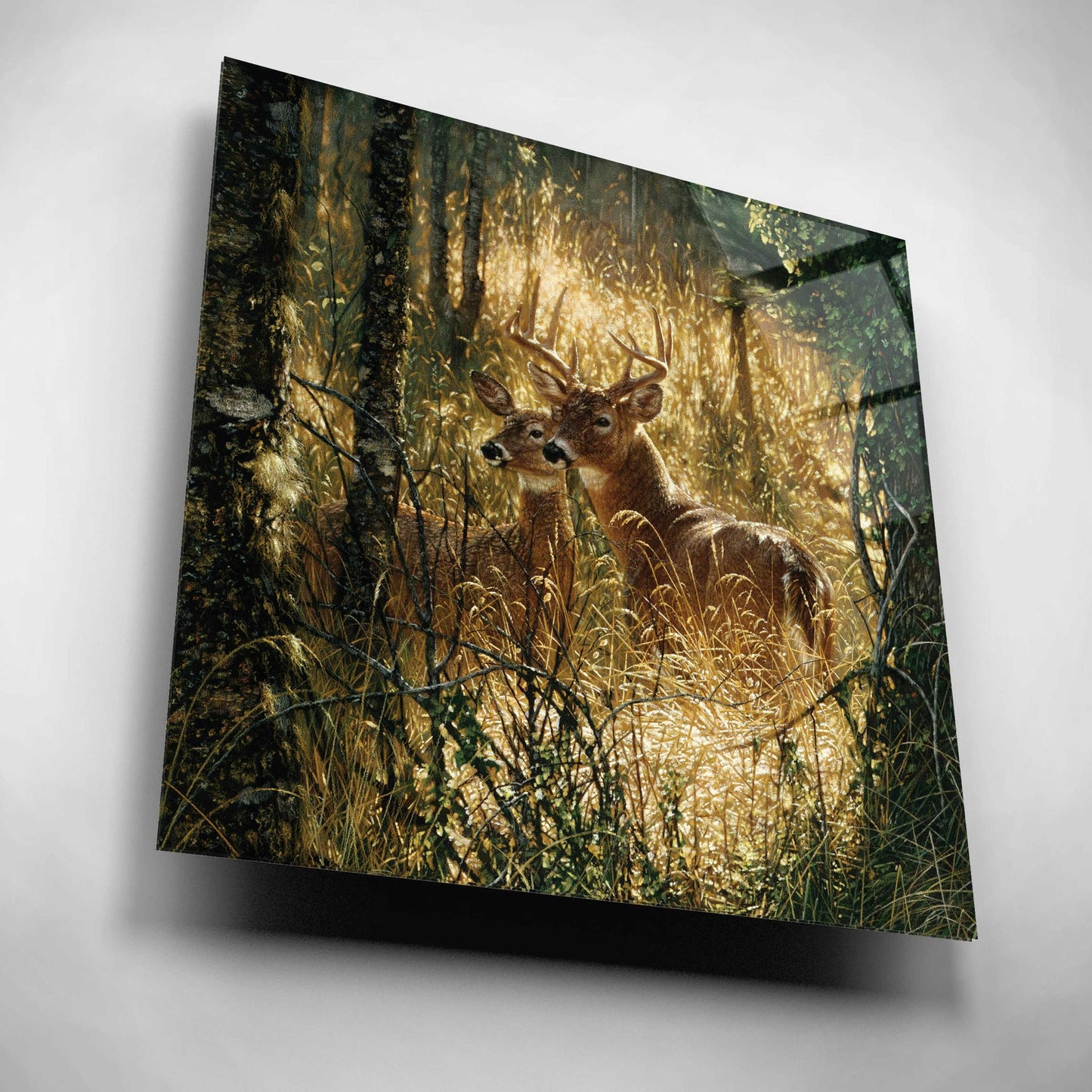 Epic Art 'A Golden Moment' by Collin Bogle Acrylic Glass Wall Art,12x12