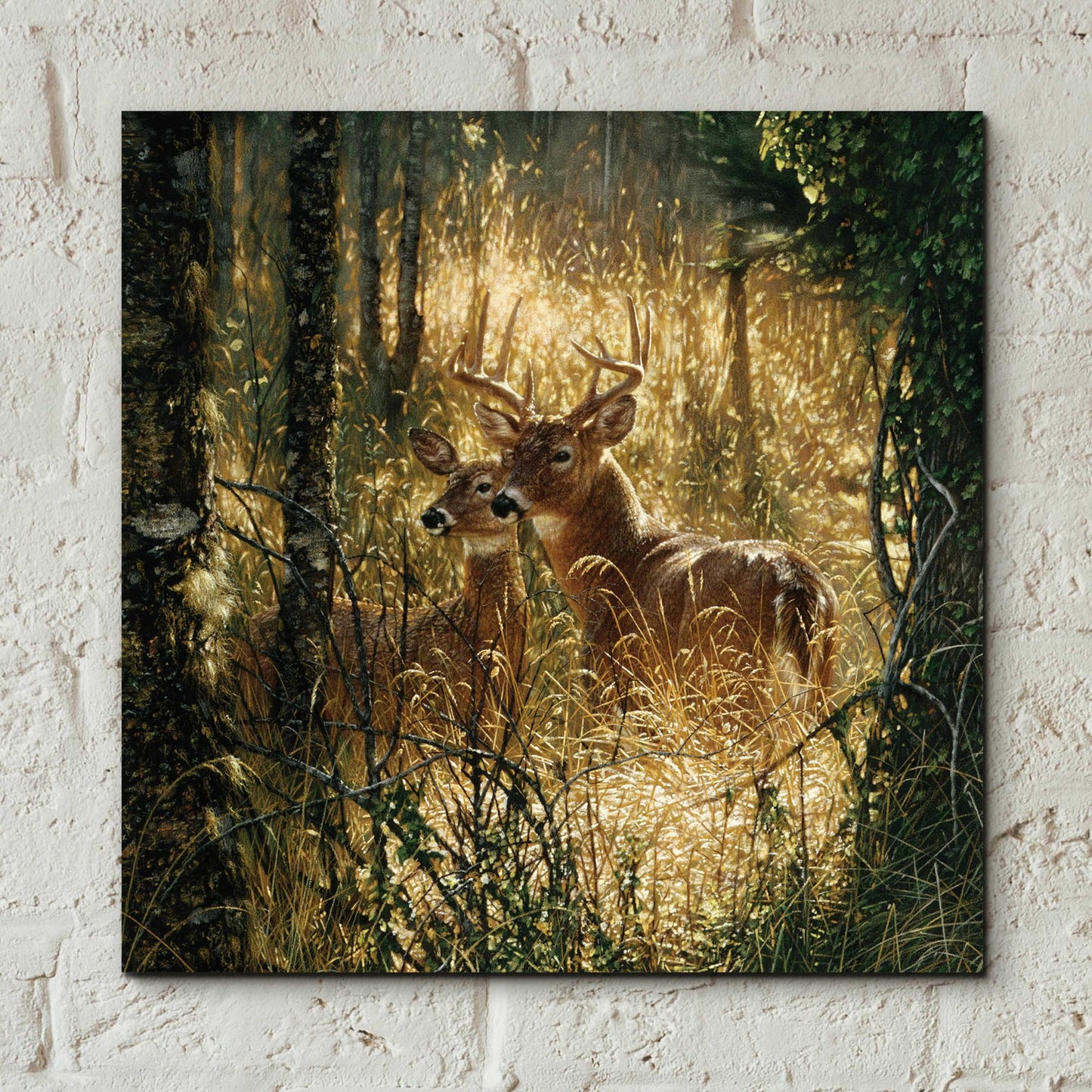 Epic Art 'A Golden Moment' by Collin Bogle Acrylic Glass Wall Art,12x12